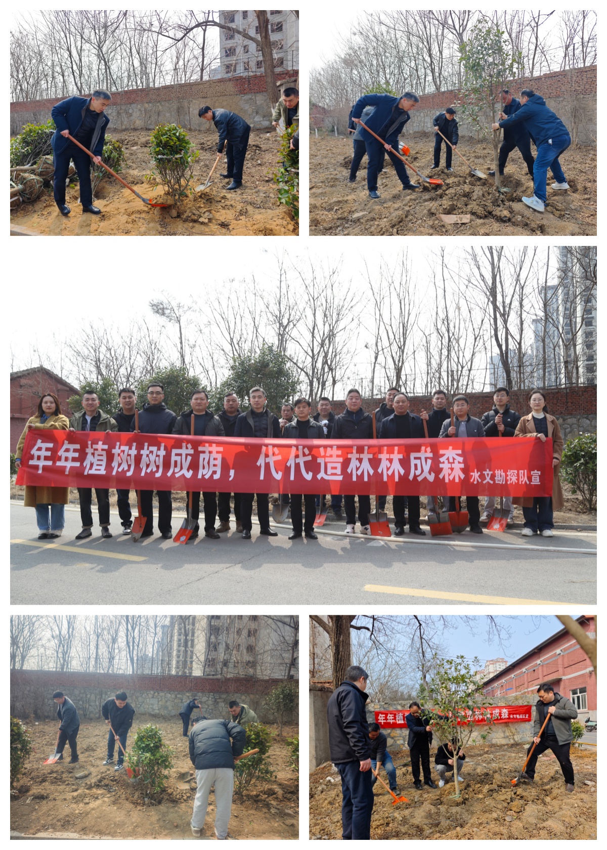 植树节.jpg